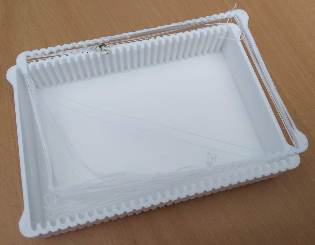 Failed print 1